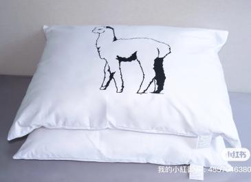 Alpaca2