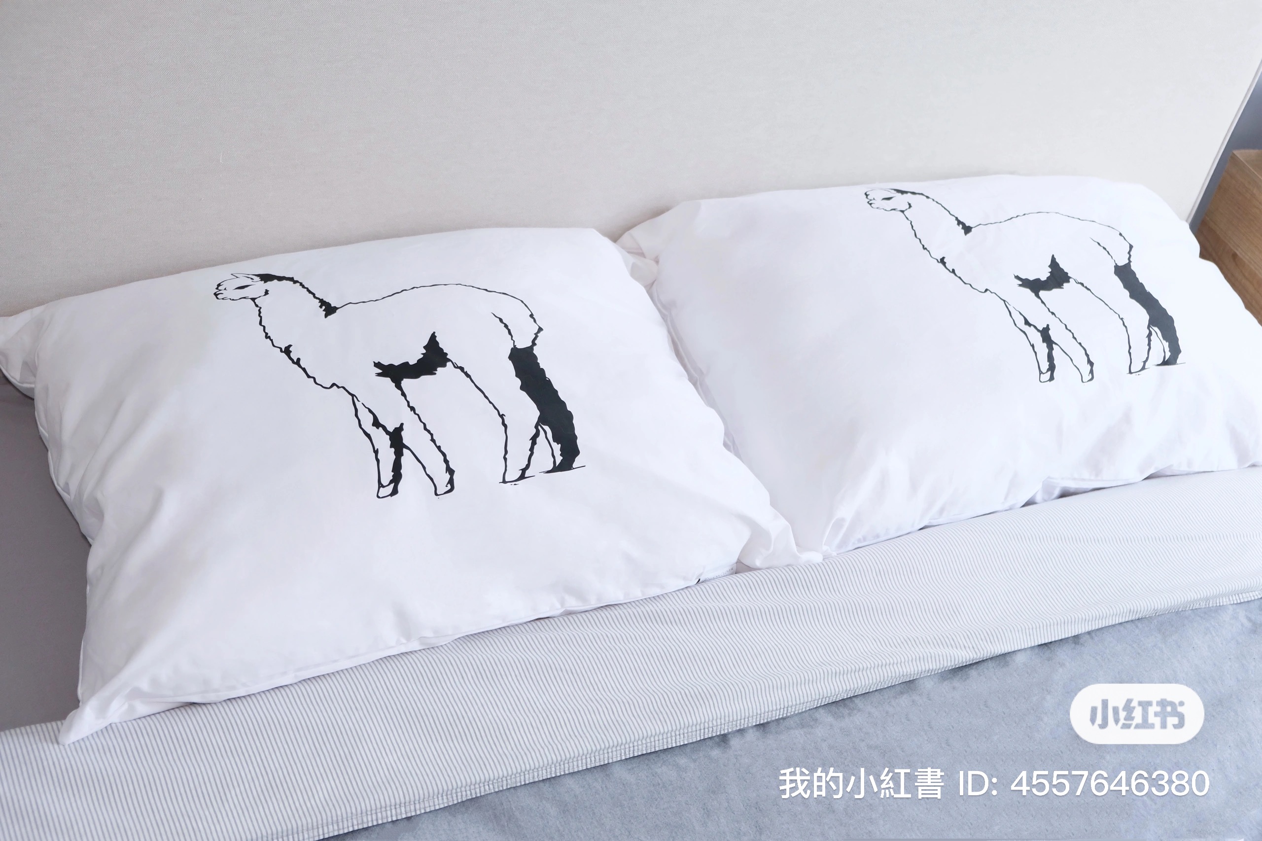 ALPACA pillow